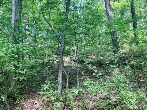 Wooded Land in Dogwood Acres
