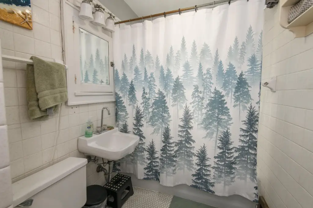 Picture 15