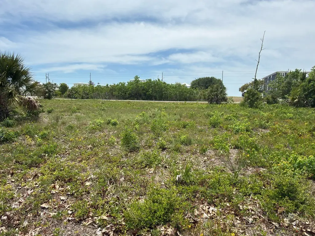Picture 6