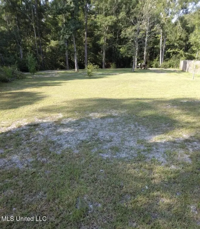 Picture 14