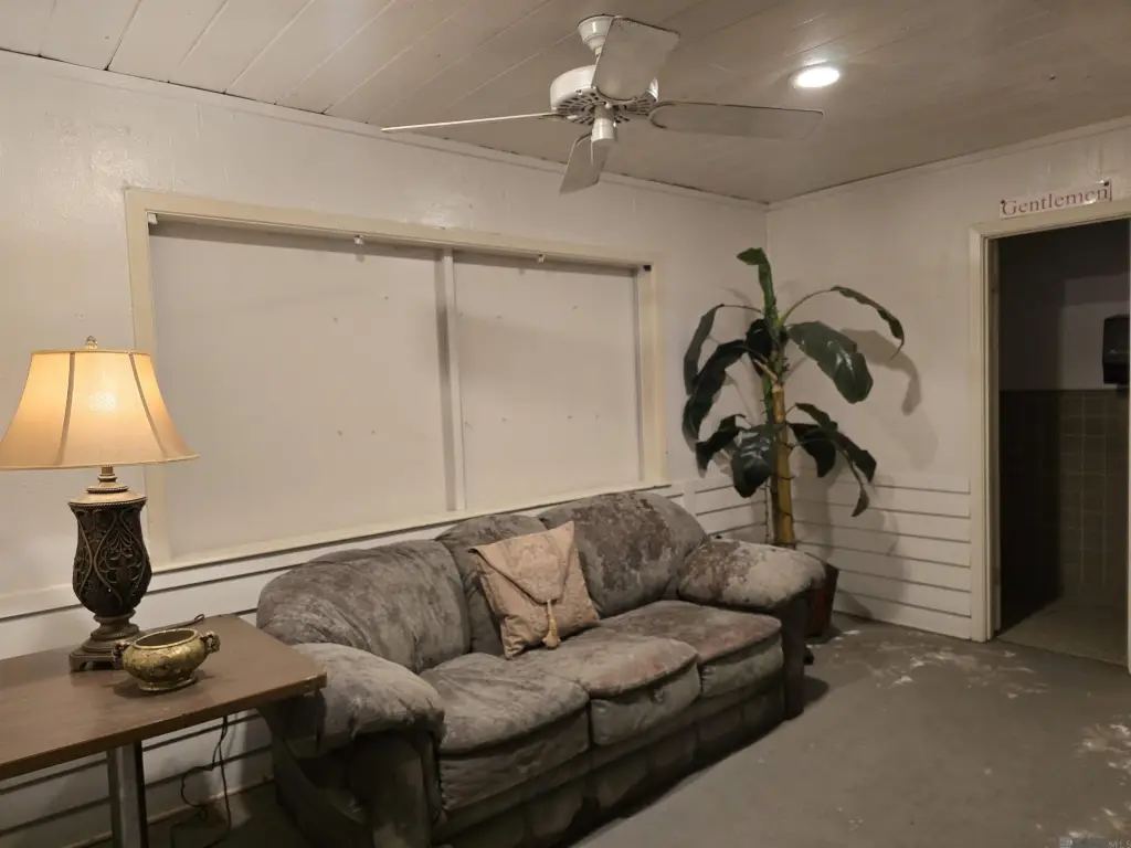 Picture 11