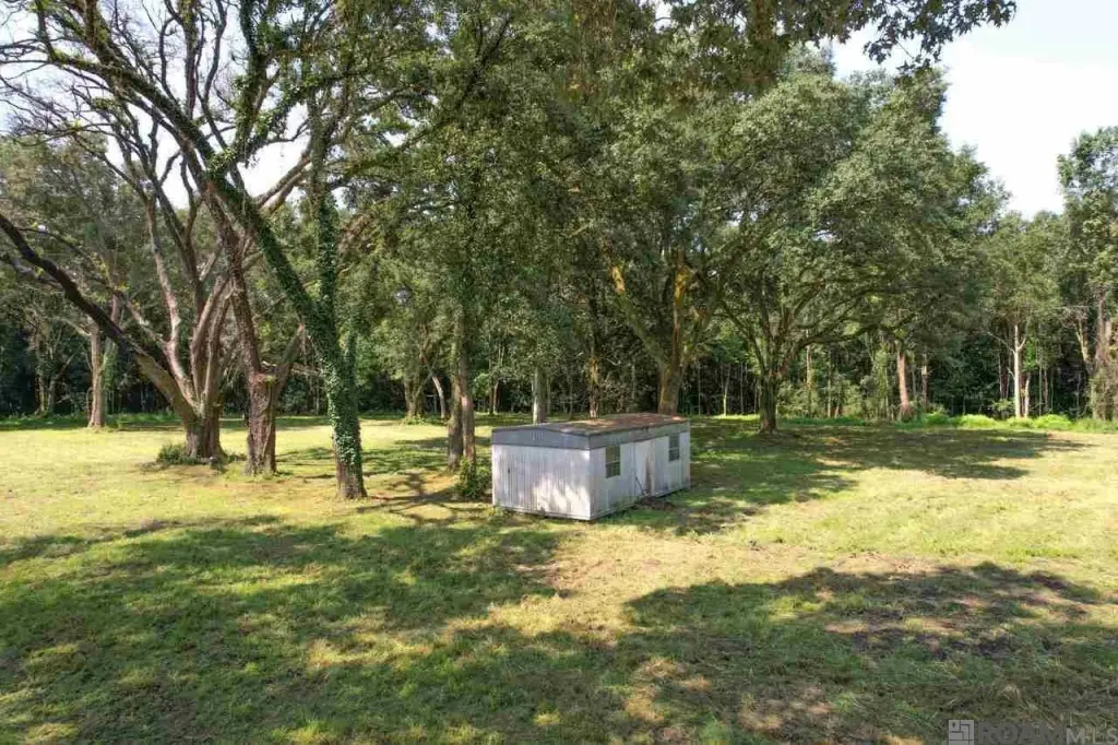 Picture 17