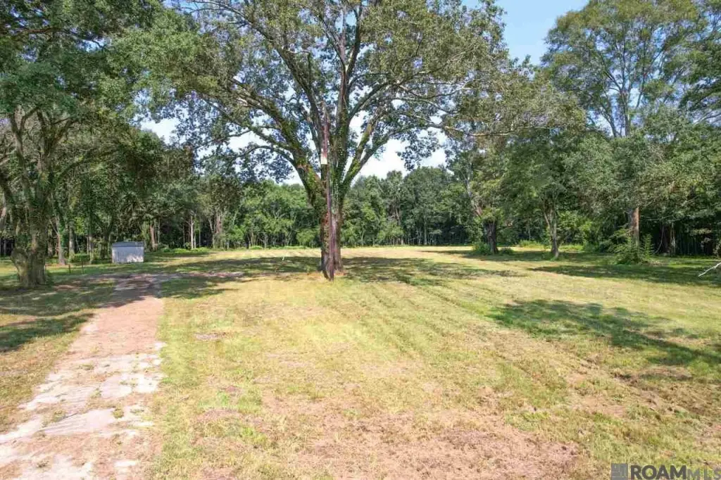 Picture 22