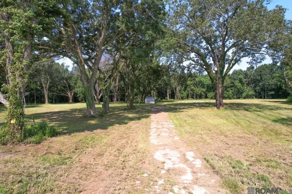 Picture 20