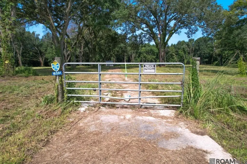 Picture 28