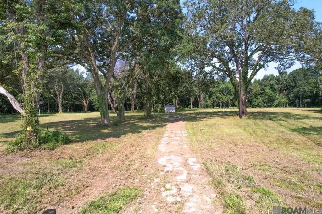 Picture 18