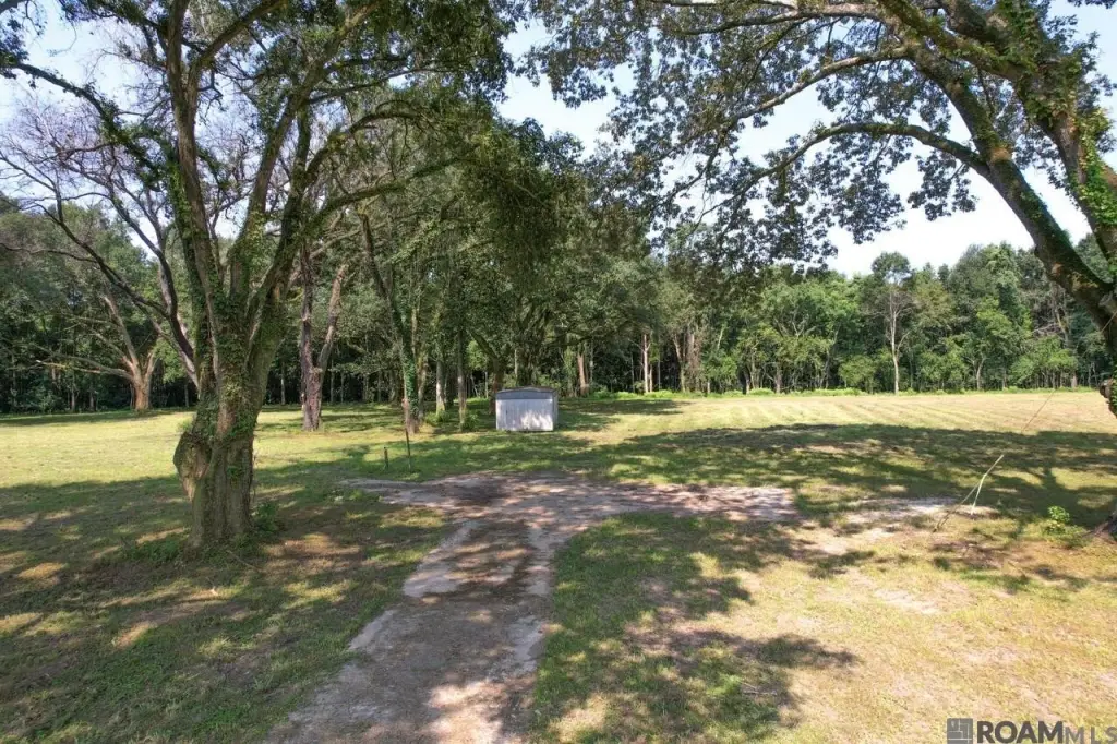 Picture 10
