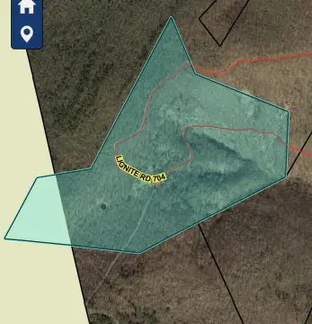 Secluded Land Surrounded by Forest