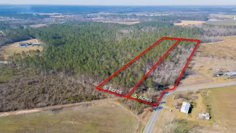 Appling County Timberland Tract