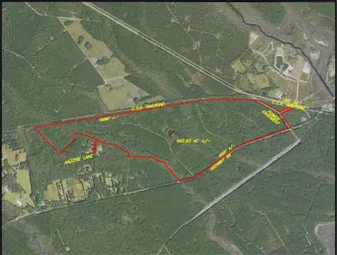 Brunswick Timberland Development Opportunity