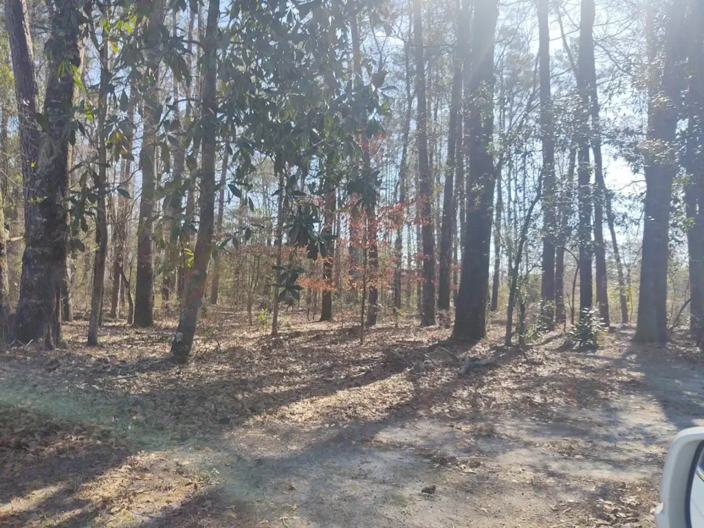 Picture 2