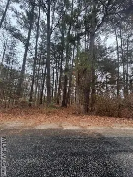 Residential Land in Tanglewood Shores