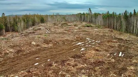 Maine Land with Development Potential