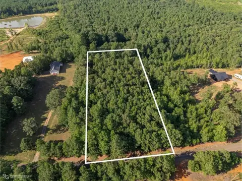 Wooded Land in Plain Dealing