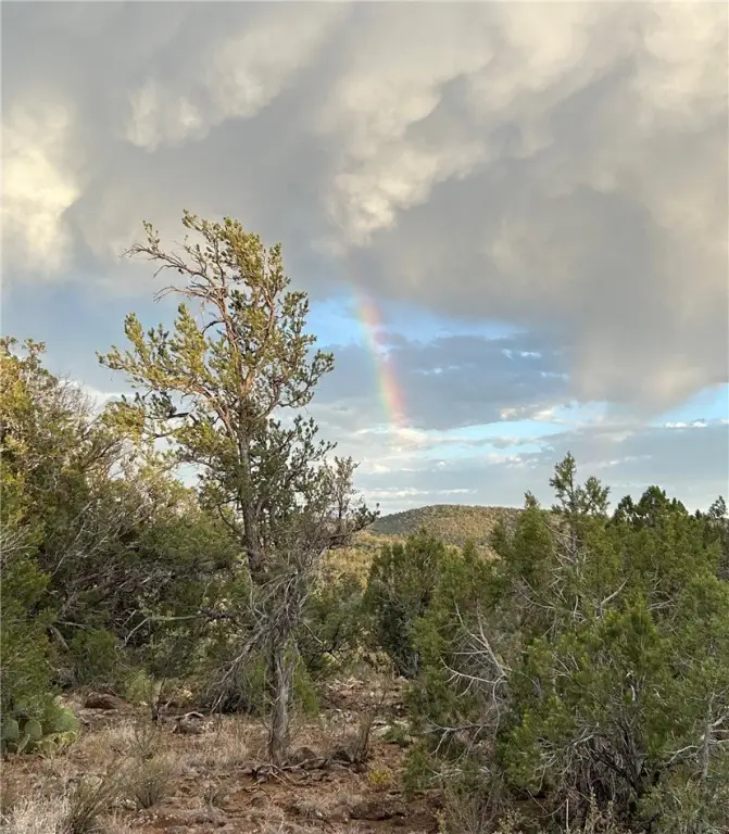 Picture 28
