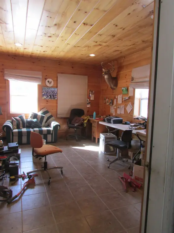 Picture 3