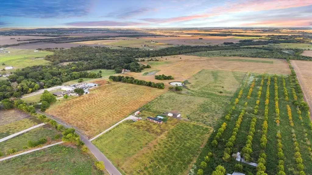 Picture 13
