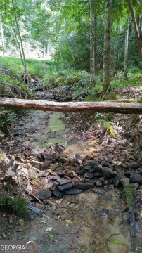 Sky Valley Wooded Building Lot