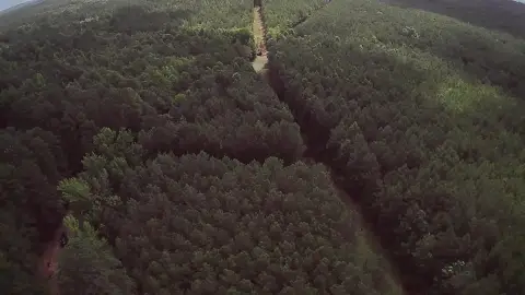 27 Acres of Land in Minden