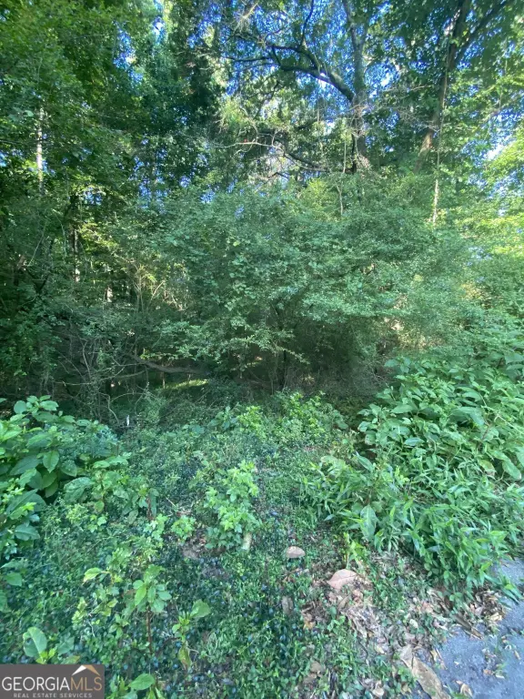 Picture 4