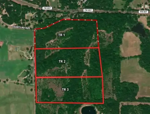 East Texas Land for Sale