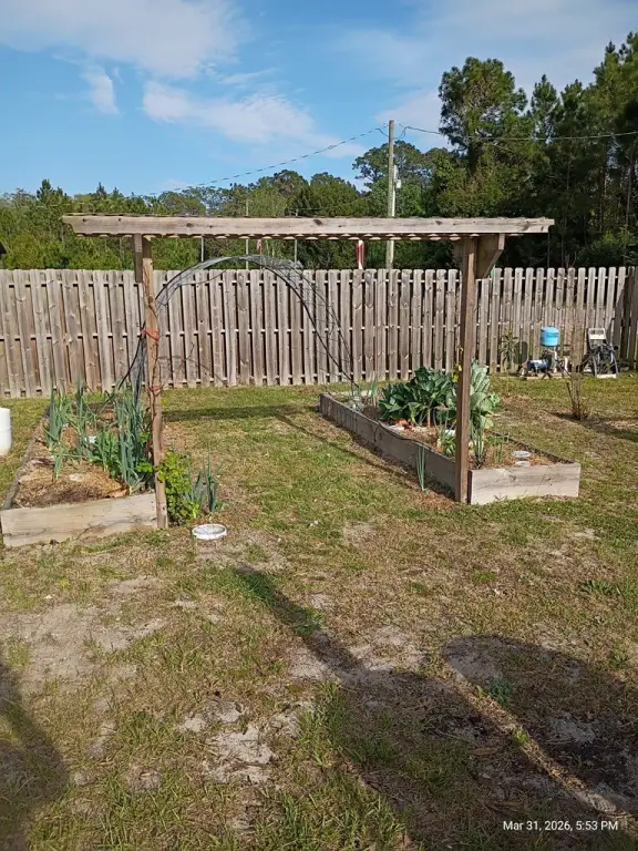 Picture 14