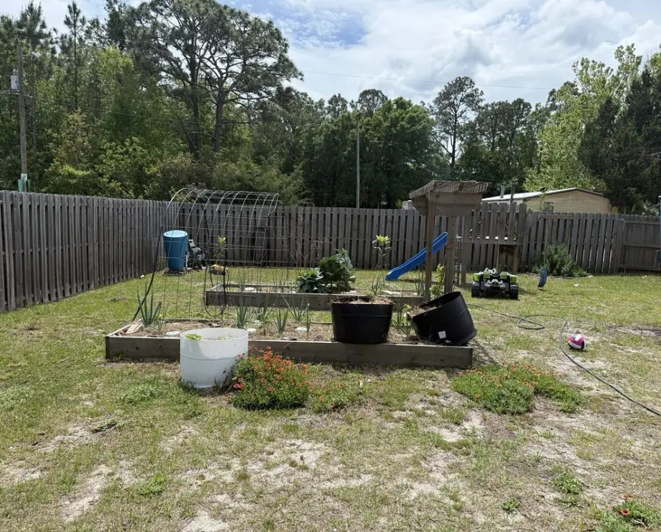 Picture 19