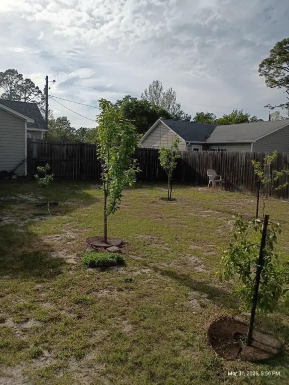 Picture 24