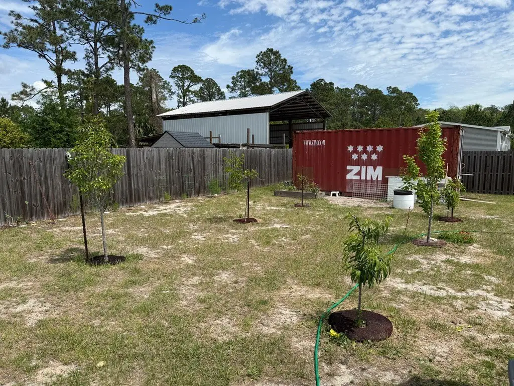 Picture 25