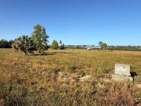 Cleared Homesite Near Mexico Beach