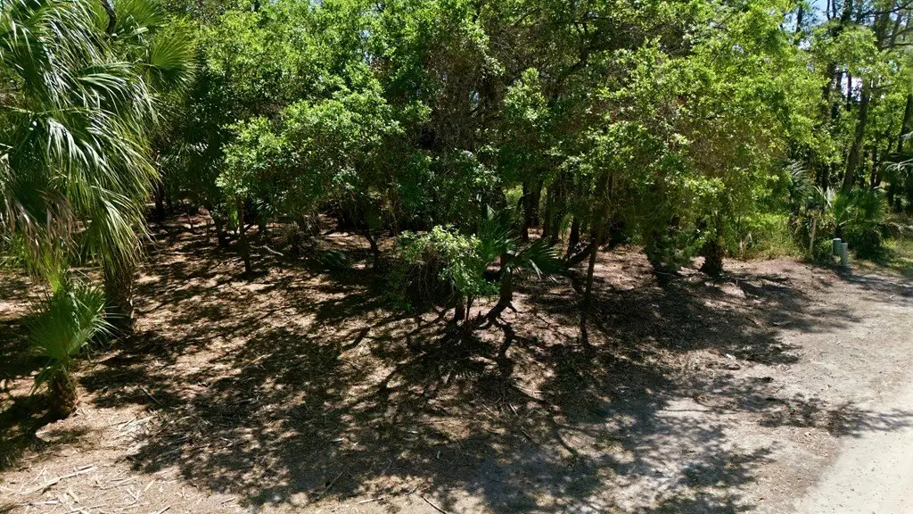 Picture 5