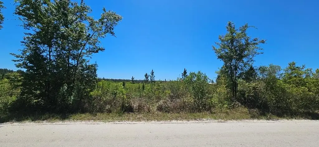 Picture 6