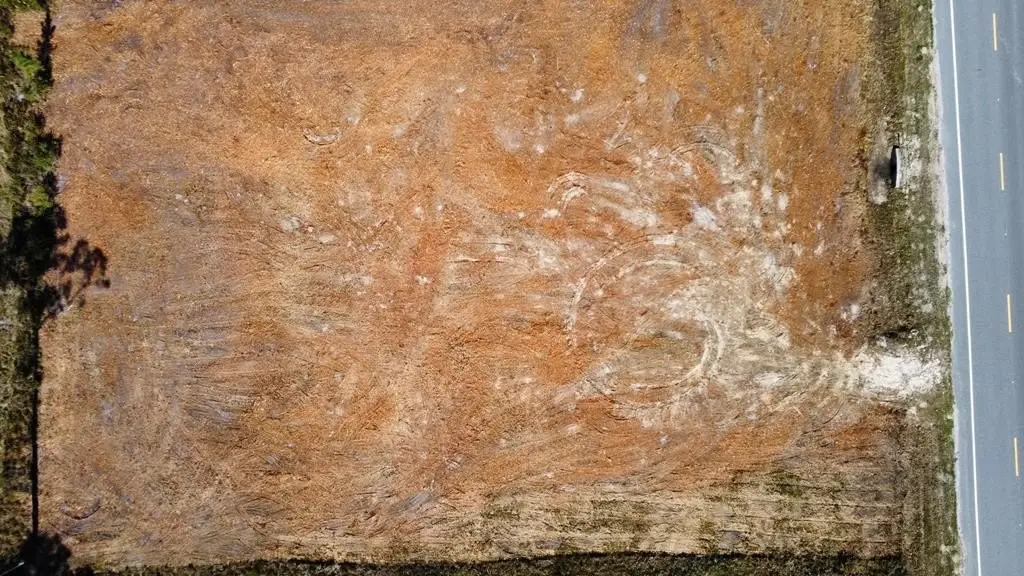 Picture 6