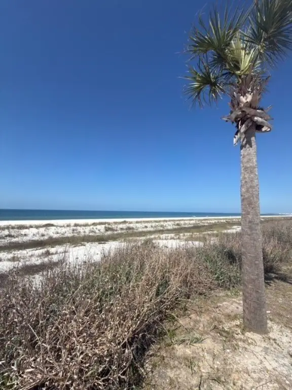 Picture 13