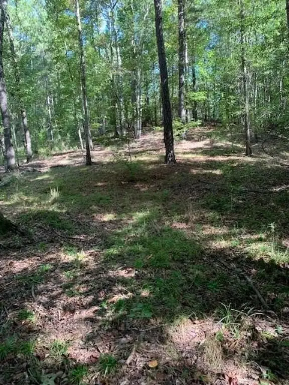 Picture 3