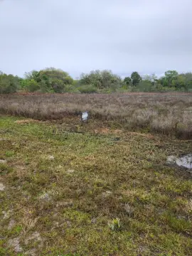 Okeechobee Acreage with Development Potential