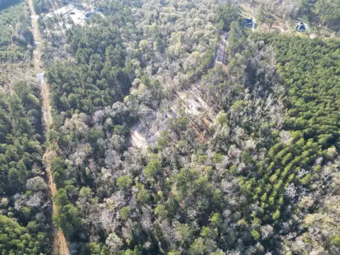 Livingston Land in Established Subdivision