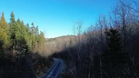 Resource-Rich Wooded Parcel in Frenchville