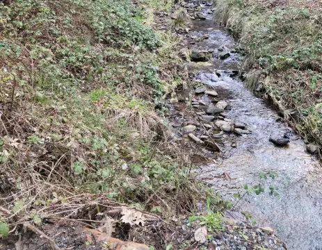 Mokelumne Hill Residential Land