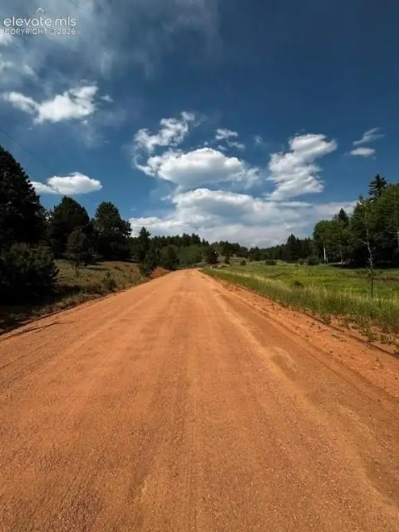 Picture 25
