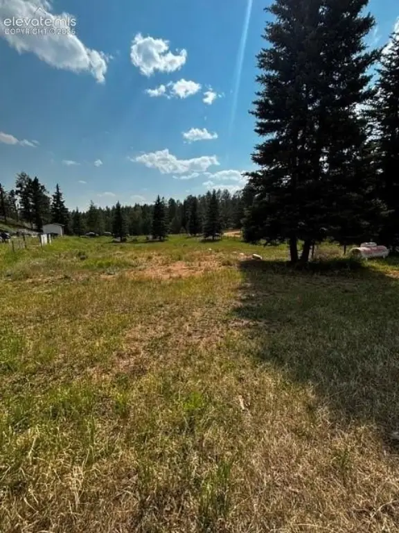 Picture 23
