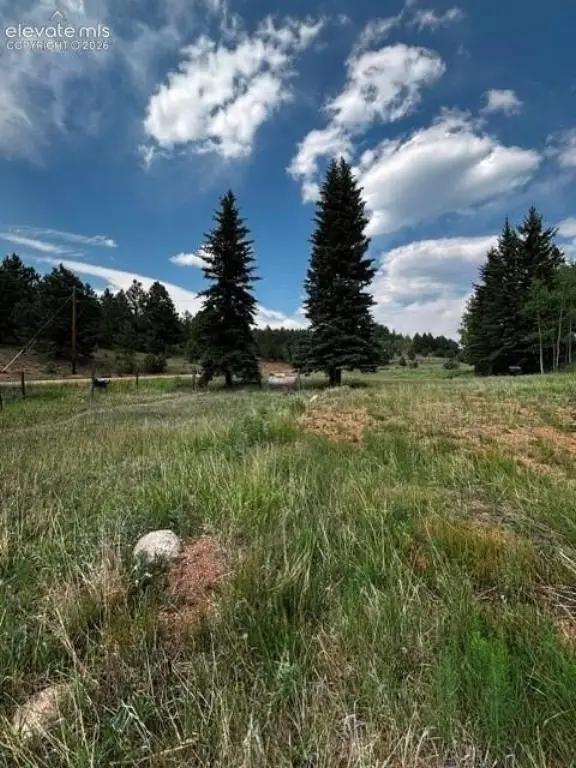 Picture 19