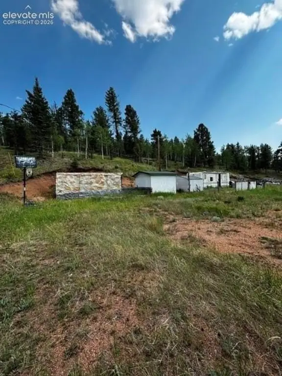 Picture 13