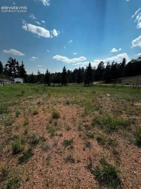 Picture 18