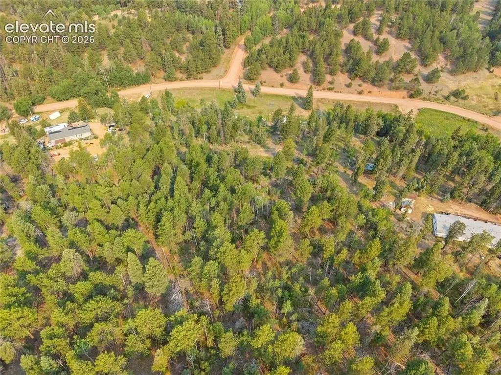 Picture 8