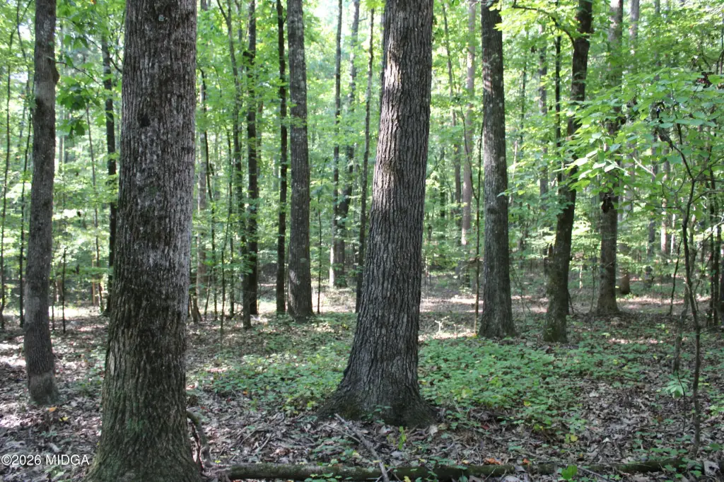 Picture 3
