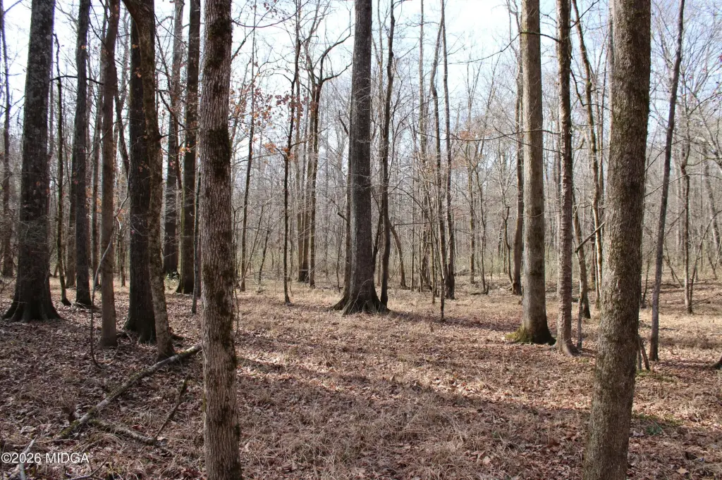 Picture 26