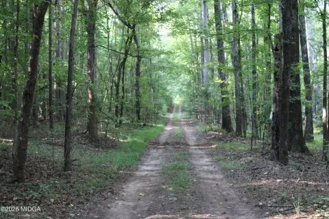 Riverfront Wooded Land
