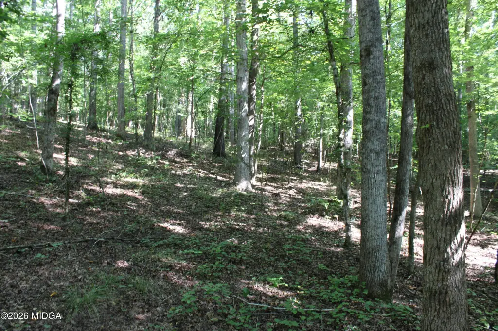 Picture 10