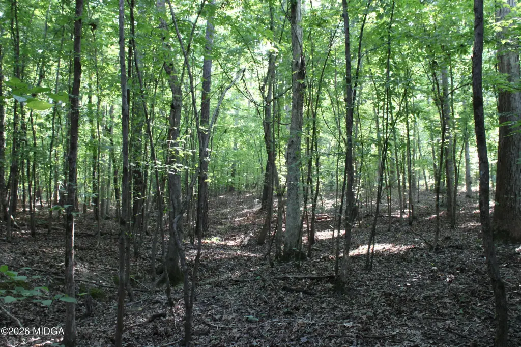 Picture 9